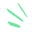 Three light green parallel lines on black background